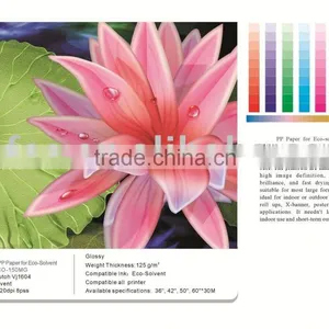 High Glossy pp Paper for Eco-solvent thumbnail-1
