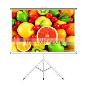 New Design 3d Projector Screens / Holographic Portable Rear Projection With Folding Screen thumbnail-6