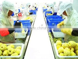 Zhangzhou Wangui Agriculture Development Co., Ltd. company overview - view 2 thumbnail