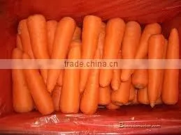 Fresh Carrot Size 80-150g thumbnail-3
