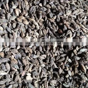 Vietnam Black Cardamom thumbnail-3