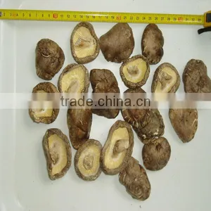 Dried Shiitake Price Mushroom 3-4 Dried Mushroom Price thumbnail-2