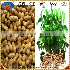 High Quality Ground Peanut Picker thumbnail-5