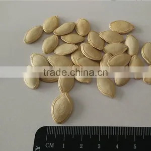 Pumkin Seed Kernels Shine Skine-grade AA thumbnail-2