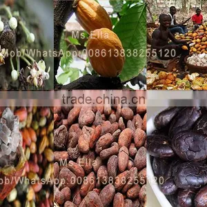 Automatic Roasted Cacao Nib Peeler Roasted Coffee Husk Peeler Machine thumbnail-3