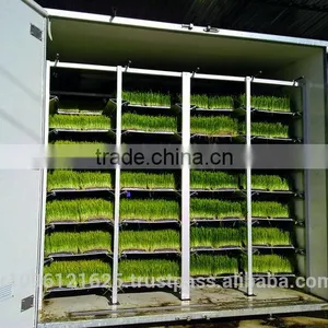 StarMax Barley Fodder / Fodder / Fodder System thumbnail-6