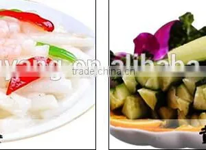 High Grade Factory Direct Sale Vegetable Strip Cutting Machine , Vegetable Cutter thumbnail-6
