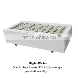 Indoor Plant Supports 300W Full Spectrum Led Grow Light thumbnail-3