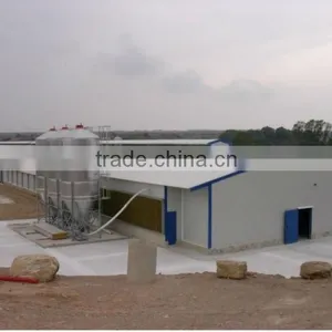BT Factory Chicken Farming for Broiler Chicken thumbnail-1