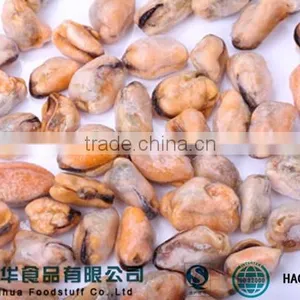 Frozen Blue Mussel Meat in Shellfish Scientific Name thumbnail-2
