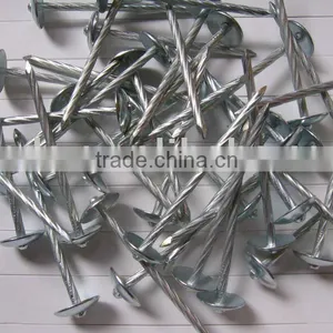 Umbrella Roofing Nail thumbnail-1