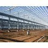 Steel Structure thumbnail-1