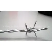 Electro Galvanized Barbed Wire thumbnail-1