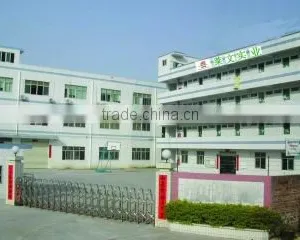 Shenzhen Levin Toys & Gifts Co., Limited company overview - view 1 thumbnail