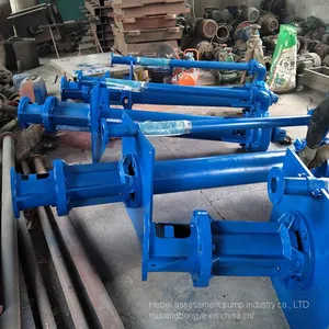 The Assessment of Direct Selling sv - 150 SP (R) Vertical _ _ Under Liquid Centrifugal Slurry Pump thumbnail-2