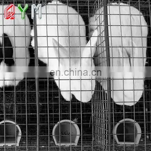 Metal Welded Chain Link Wire Outdoor Dog Kennels Dog Cages Welded Mesh Metal Cheap thumbnail-2