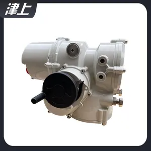 Angular Stroke Electric Actuator IT10 Electric Valve Actuator thumbnail-5
