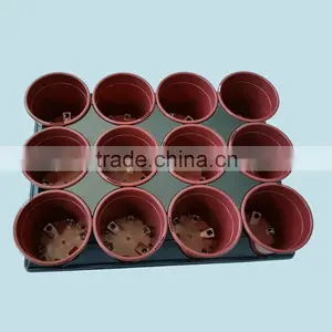 Garden Plastic Seed Propagator--RGR1072 thumbnail-1
