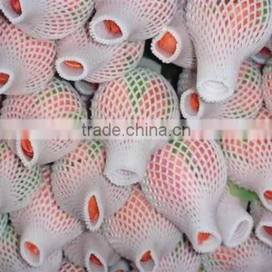 Good Quality Net Fruit Cover Foam, Epe Fruit Net Bag, Foam Fruit Net thumbnail-1