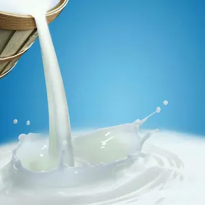 Shanghai Juice Pasteurization Equipment /Milk UHT Sterilizer Drinks Sterilization Machine thumbnail-5