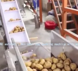 Mesh Net Bag Packing Machine for Edamame Garlic Onion Potato Sweet Potato thumbnail-3