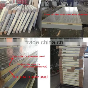 Cold Storage Panels/insulated Panels for Cold Storage/panels for Cold Storage Prices thumbnail-2