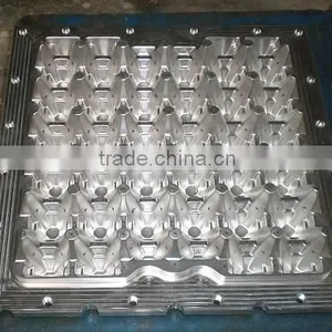LSF208 Plastic Egg Box Making Machine thumbnail-6