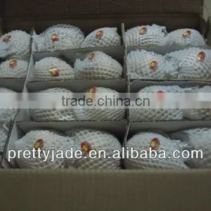 China New Crop Fresh ya Pear thumbnail-1