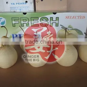 Fresh Pear thumbnail-3