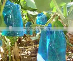 Agri Plastic Banana Bunch Covers for Banana Planting thumbnail-1