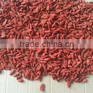 Chinese Goji Berry in Preserved Fruit Wholesaler thumbnail-2
