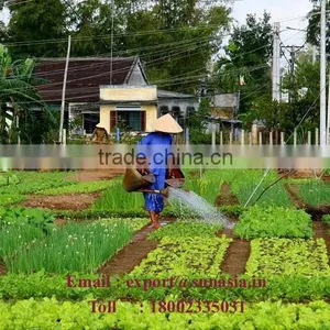 100% Natural Neem Liquid Fertilizer thumbnail-1
