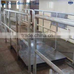 Live Cattle Weighing Scale for Cattle Slaughtering Line Quality Choice thumbnail-1