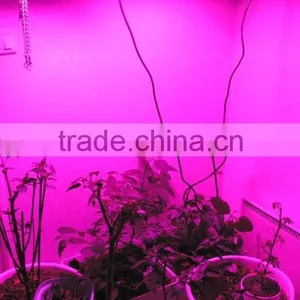 LED Growing Lamp, UFO,Panel, Tubular Model (Power Range: 90W,100W,150W,200W,300W) thumbnail-1