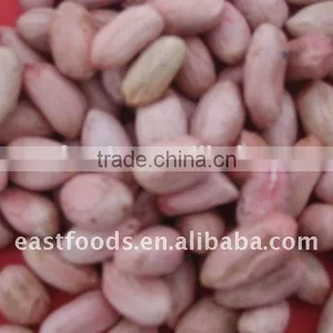 Raw Peanuts Kernel From China thumbnail-4