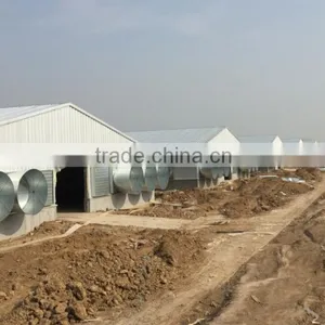 Automatic Environmental Controlled Poultry Farm thumbnail-1