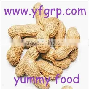 Peanut Price of Red Skin Peanut Kernel With Peanuts 1kg Price thumbnail-2