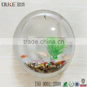 Morden Design Wall Mounted High Transparent Acrylic Fish or Plant Display Wholesale thumbnail-2