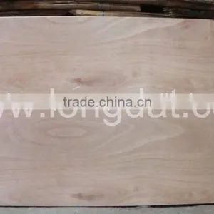 BINGTAGOR/KERUING/OKOUME PLYWOOD for Furniture and Construction thumbnail-3