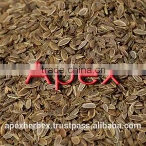 Dill Seeds / Dill Seeds TBC / Anthem Graveolens thumbnail-1