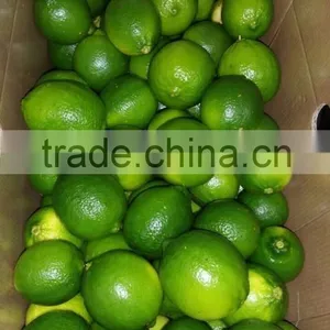 VIETNAM FRESH SEEDLESS LIME thumbnail-3
