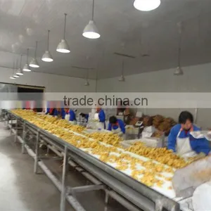 Yellow Color Ginger Fresh thumbnail-1