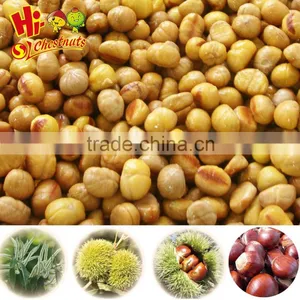 IQF Frozen Chestnut Quick Freezing Peeled Chestnuts thumbnail-1