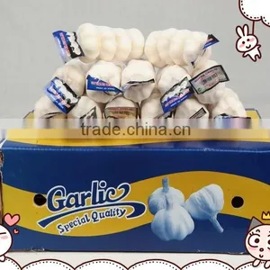 Chinese Fresh Garlic Price in 2016 thumbnail-1