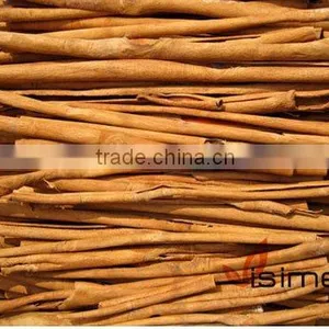 Stick Cassia thumbnail-1