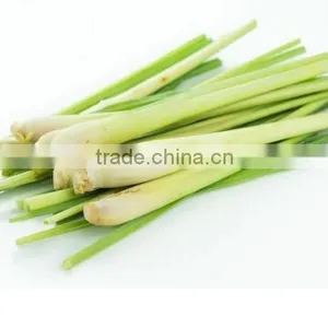 Frozen Lemongrass Whole thumbnail-2