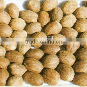 Nutmeg thumbnail-1