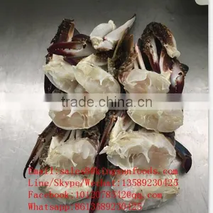 Frozen Blue Swimming Crab for Hot Sale thumbnail-1