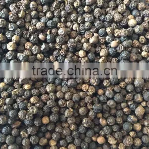 BLACK PEPPER thumbnail-1