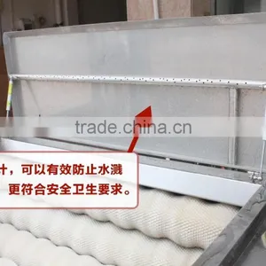 MSTP-500 Ginger Washing Machine Ginger Cleaning Machin Cassava Washing Cleaning Machine thumbnail-5